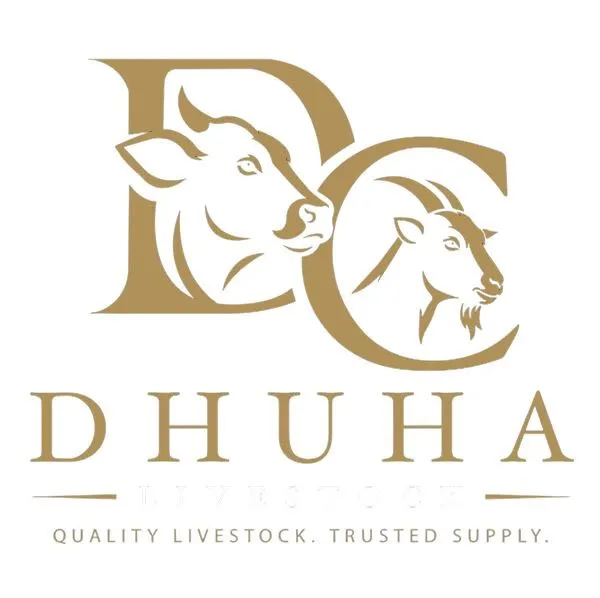 Dhuha Qurban